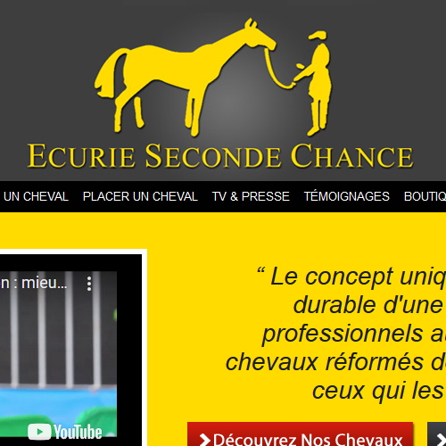 reconversion chevaux de course à L'écurie Seconde Chance
