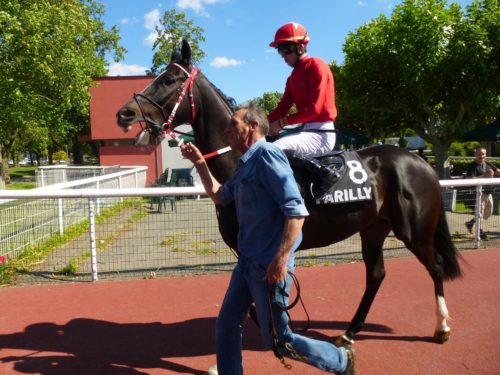 cheval de course