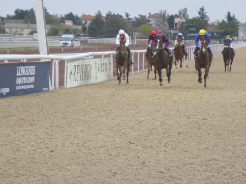 galopeurs en piste