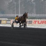 trotteur en piste, échauffement