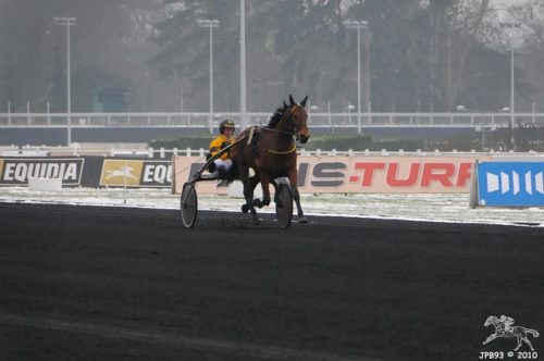trotteur en piste, échauffement