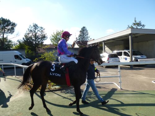 galopeur Villeurbanne