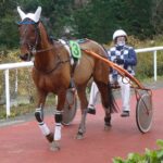 trotteur entrant en piste