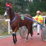 trotteur entre en piste