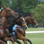 course de galop