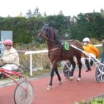 trotteurs entrant en piste