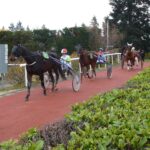 les trotteurs entrent en piste