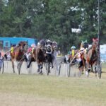 groupe de trotteurs