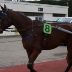 trotteur numéro 8
