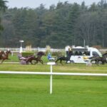 groupe de trotteurs en piste