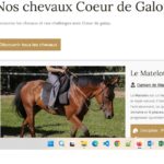 écurie coeur de galop