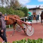 trotteur à Lyon
