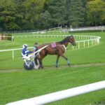 trotteur qui rentre après sa course